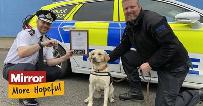 Dog rescued from 'horrific' puppy farm joins police to help fight crime