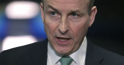 Taoiseach defends Ukraine President Volodymr Zelensky after comments about Ireland