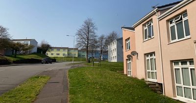 The once drab Swansea council estate now dubbed 'Balamory' after it was all turned pastel colours