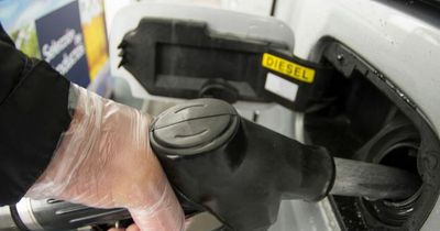 Pass on fuel duty cuts to struggling agri-food sector - NI agri minister