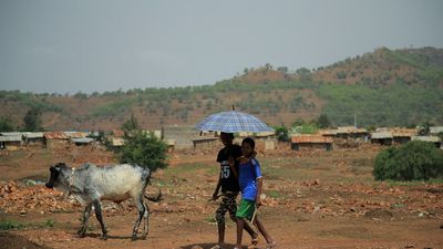 Tigray rebels observe government truce, paving way for urgent aid
