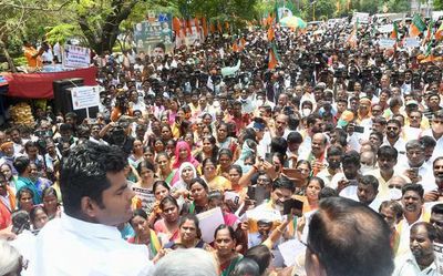 ‘If State implements Central schemes, it won’t need a separate Budget’