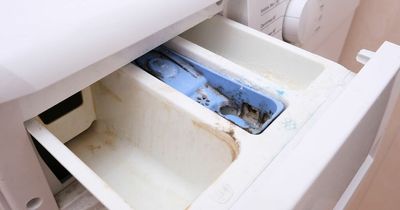 Cleaning fan shares ingenious and little-known washing machine drawer trick