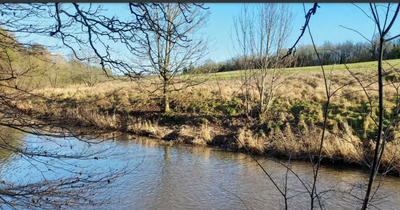 West Lothian teen's fight to save otter habitat from developers