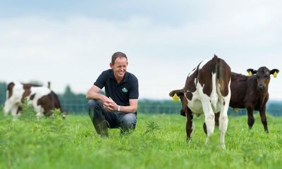 ‘It is unsustainable’: soaring inflation squeezes budgets of UK dairy farmers