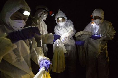 How scientists could prevent future pandemics