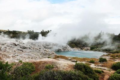 Māori village nestled among hot springs reckoning with the return of foreign tourists