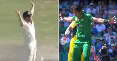David Warner mocks Hasan Ali by mimicking his own celebration as Australia beat Pakistan