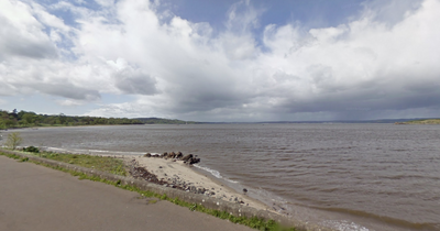 Scots pensioner arrested after girl, six, 'attacked by dog' on beach
