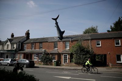UK Shark House owner dismayed at getting protected status