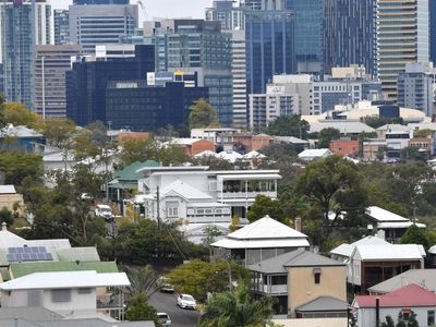 Suburban trees needed to curb heat
