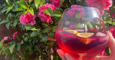 I tried Aldi's £14.99 'bramble' gin and it was the nicest I’ve ever had