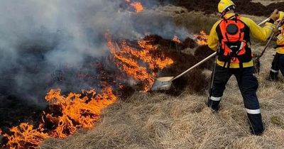 Northumberland put under yellow wildfire alert after third blaze breaks out this week