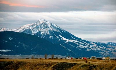 Montana sheriff says hiker killed, grizzly bear suspected