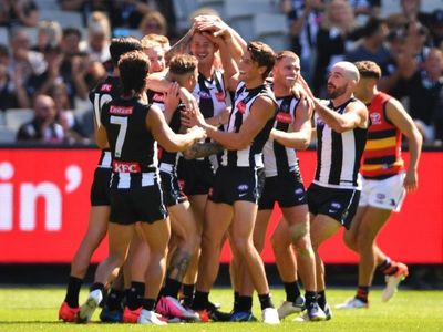 False alarm halts Pies-Crows AFL clash