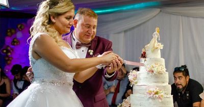 Wedding guests 'flying high as kites' after one tier of cake is laced with marijuana