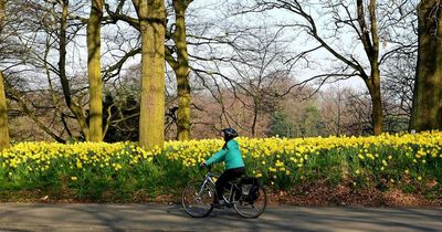 Liverpool weather: Hour-by-hour forecast and exact time temperatue will reach 17C