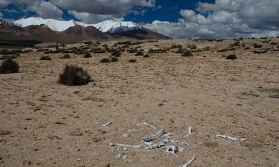 Chile’s archaeologists fight to save the world’s oldest mummies from climate change