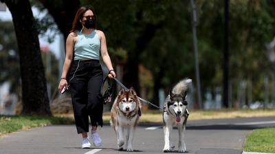 Vic Animal Shelters Are Seeing Huge Numbers Of Pups Being Surrendered ‘Cos Of Behaviour Issues