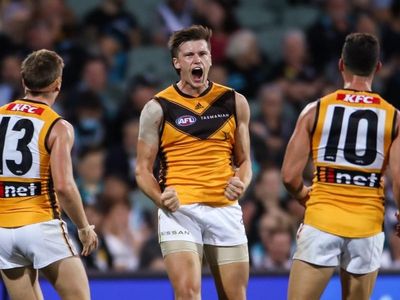 Lewis stars as Hawthorn down Port in AFL