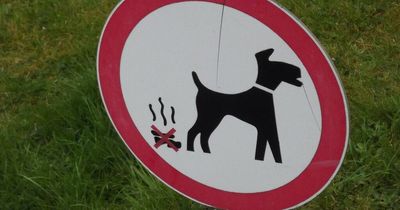 Merseyside areas with the highest number of dog fouling fines