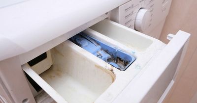 Woman astonishes cleaning fans with little-known washing machine drawer feature