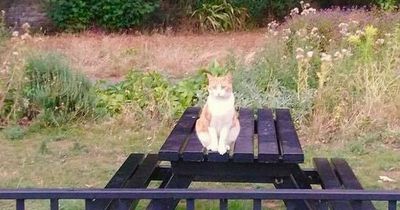 5 gorgeous gardens to visit in the heart of Nottingham