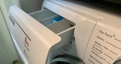 Cleaning enthusiast shares ingenious washing machine cleaning trick