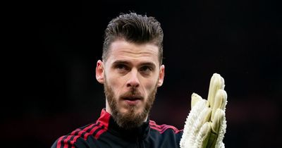 David de Gea branded ‘best goalkeeper in the world’ by retiring Manchester United player
