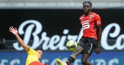 Arsenal can sign the 'next Patrick Vieira' this summer as Edu makes transfer decision