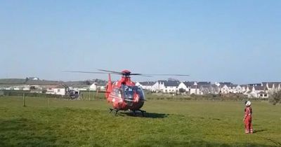 Rider seriously injured as horse collapses and dies in Co Down