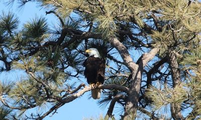 A sad highway accident, and a caution for motorists