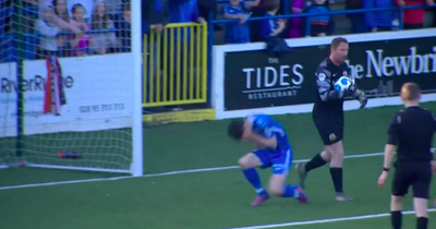Glenavon boss Gary Hamilton blasts own goalkeeper after red card "madness"