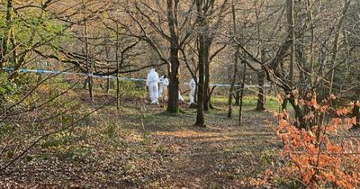 Woman sexually assaulted at Glasgow park as forensic officers comb scene