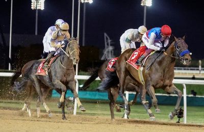 Dettori rides Country Grammer to Dubai World Cup win for disgraced Baffert