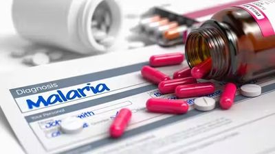 Clinical study finds anti-malaria drugs effective in fighting pulmonary disease