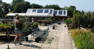 Garden centres in and around Bristol to visit this spring