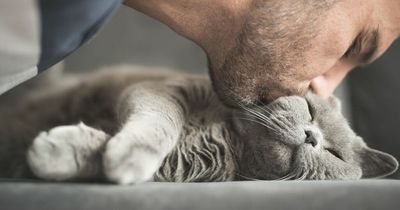 'My girlfriend thinks I tricked her into naming our baby after my dead cat'