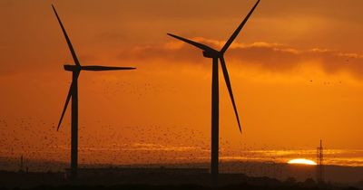 Those living near wind farms should be given free power, says minister