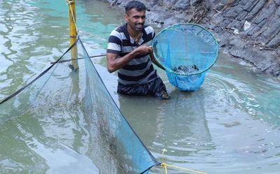 'Thozhil Shreshta’ award: CMFRI efforts win recognition