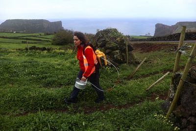 Volcanologists seek answers as island in Portugal's Azores keeps shaking
