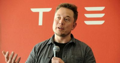 Elon Musk says Tesla bot people can download personalities onto could be next year