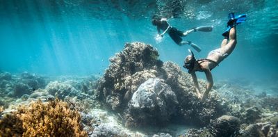 No, sunscreen chemicals are not bleaching the Great Barrier Reef