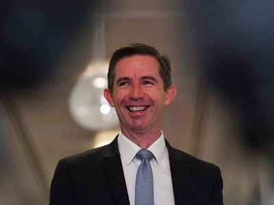 Budget carefully calibrated: Birmingham