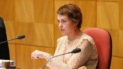 Labor senator Kimberley Kitching remembered in teary parliamentary tribute