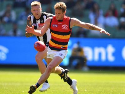 Injured Crows captain sent for scans