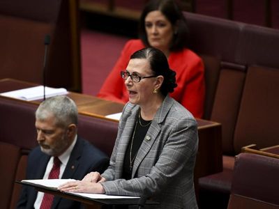 Senator calls out Liberal 'mean girls'