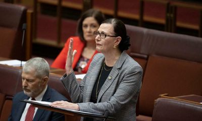 Concetta Fierravanti-Wells criticises ‘Liberal sisterhood’ for staying quiet on toxic culture in parliament