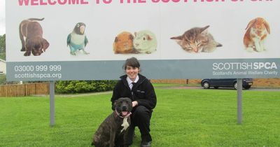 Reception at Scottish SPCA Lanarkshire rescue centre to reopen