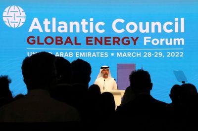 UAE reaffirms OPEC+ commitment, says West must be 'reasonable'